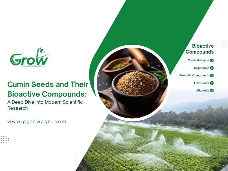 Cumin-Seeds-and-Their-Bioactive-Compounds-A-Deep-Dive-into-Modern-Scientific-Research-banner.png